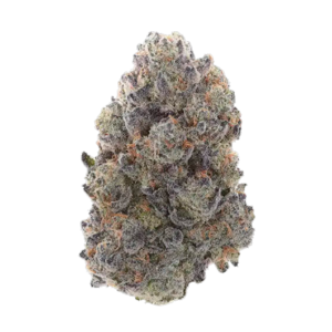 Gas Nana – Exotic Banana Gas Weed from Cannabis Market USA