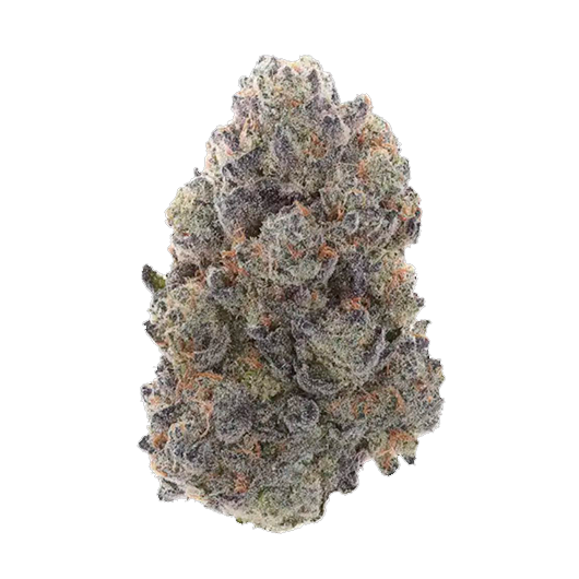 Gas Nana – Exotic Banana Gas Weed from Cannabis Market