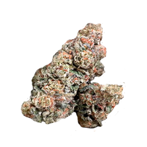 Chivo Bomb – Potent Exotic Hybrid from Cannabis Market USA