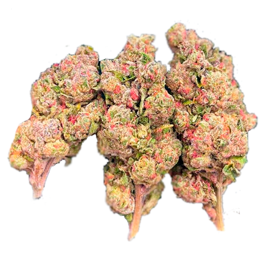 Bubble Gum – Sweet Hybrid Weed